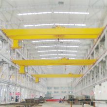 WEIHUA FEM/DIN Double Girder Overhead Crane
